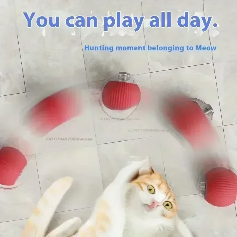 Interactive Rolling Cat Ball Dog Toy Rolling Ball for Indoor 360° Automatic Rolling Pet Ball Self Rollingball Pet Supplies