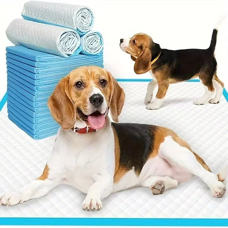 20-100Pcs Super Absorbent Odor-Control Disposable Dog Diapers & Training Pads